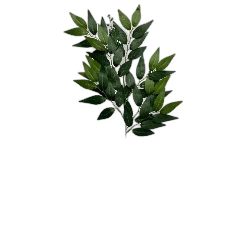 cleaned variant image