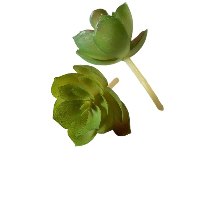 cleaned variant image