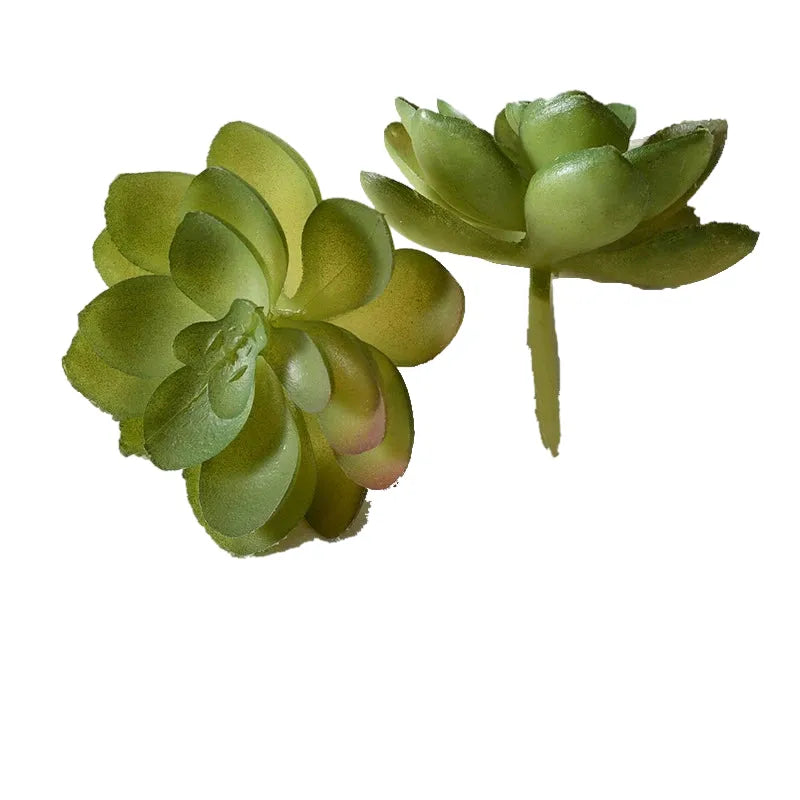 cleaned variant image