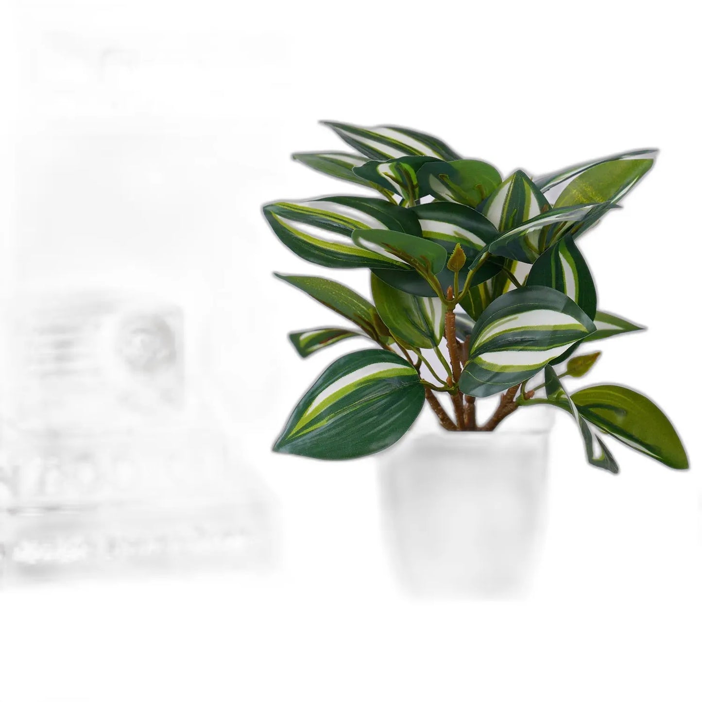 cleaned variant image