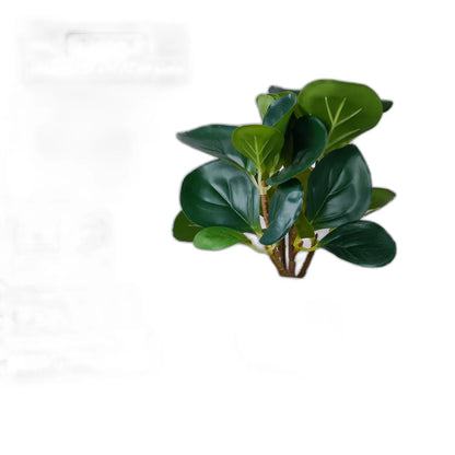 Cleaned variant image