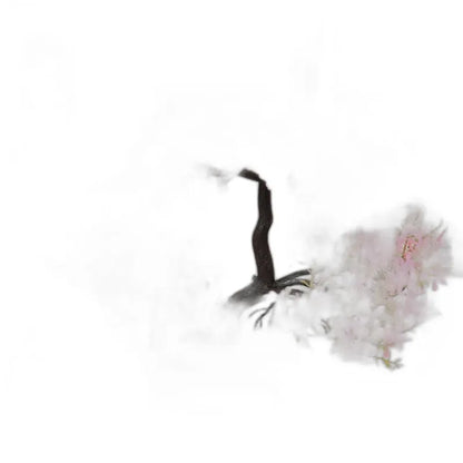 Cleaned variant image