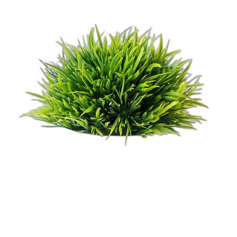 cleaned variant image