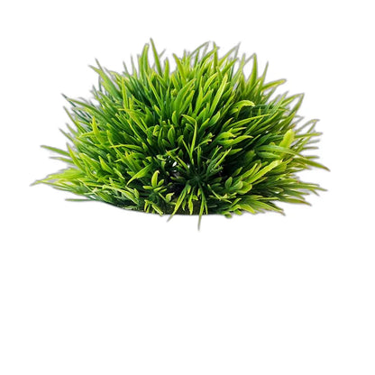 Cleaned variant image