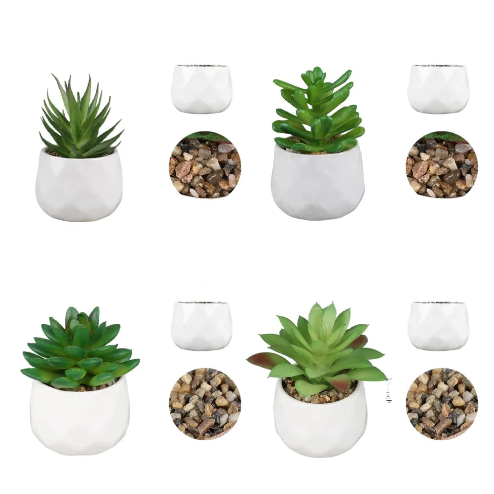 Cleaned variant image