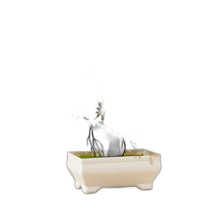 Cleaned variant image