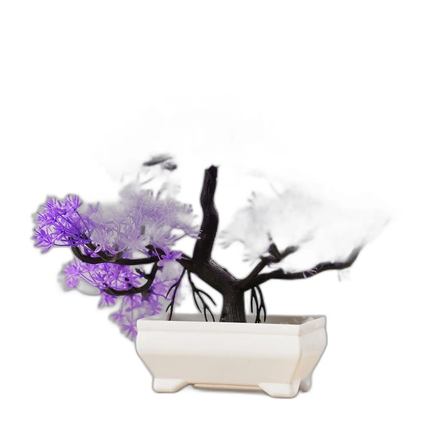 cleaned variant image