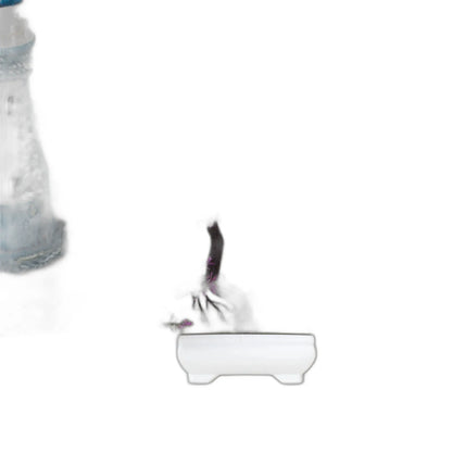 Cleaned variant image