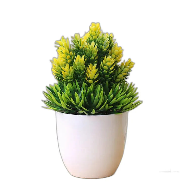 cleaned variant image