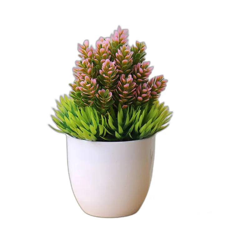 cleaned variant image