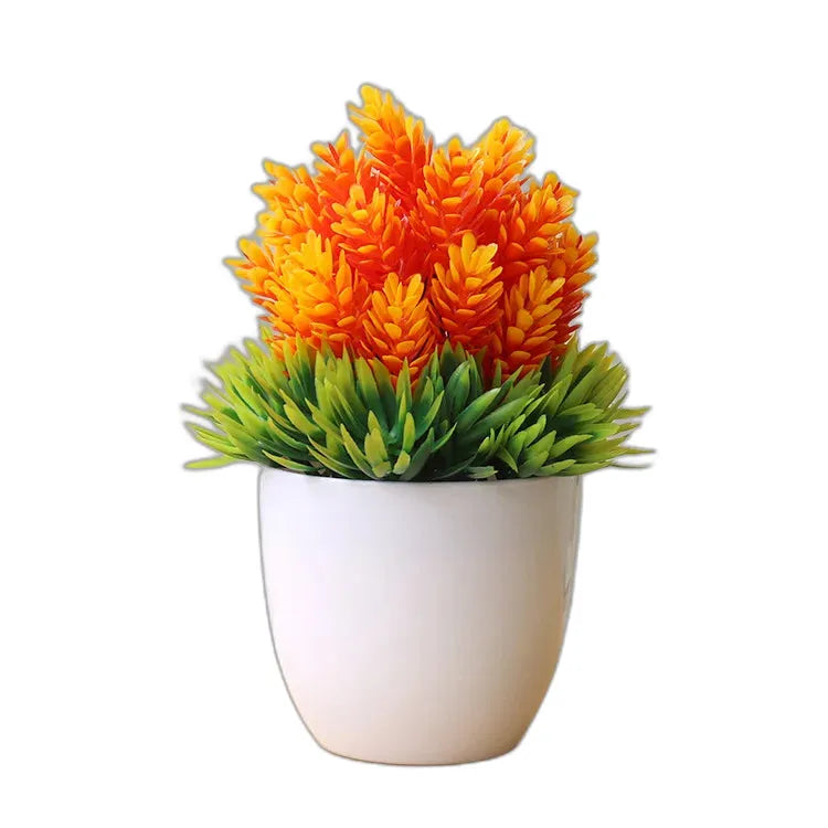 cleaned variant image