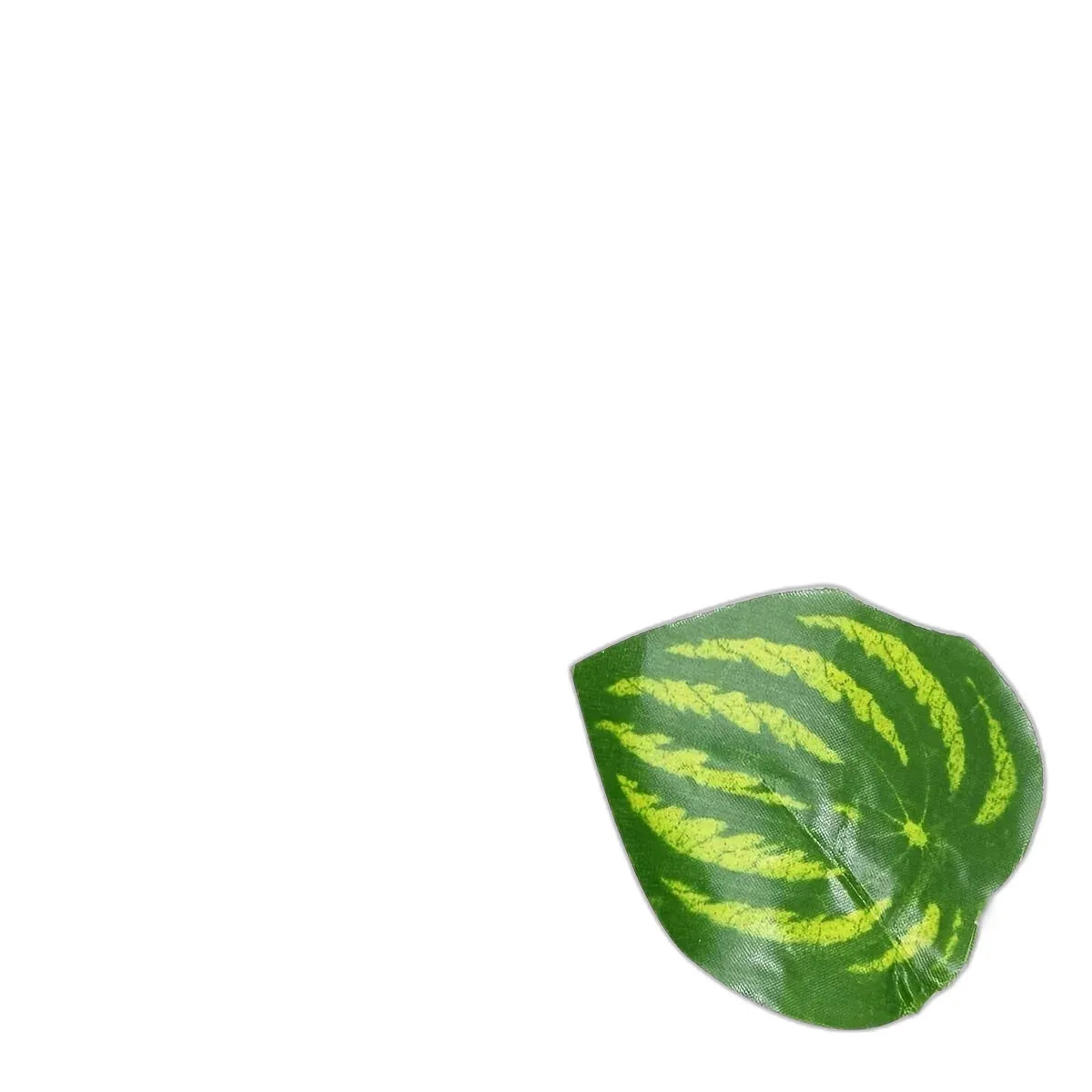 cleaned variant image