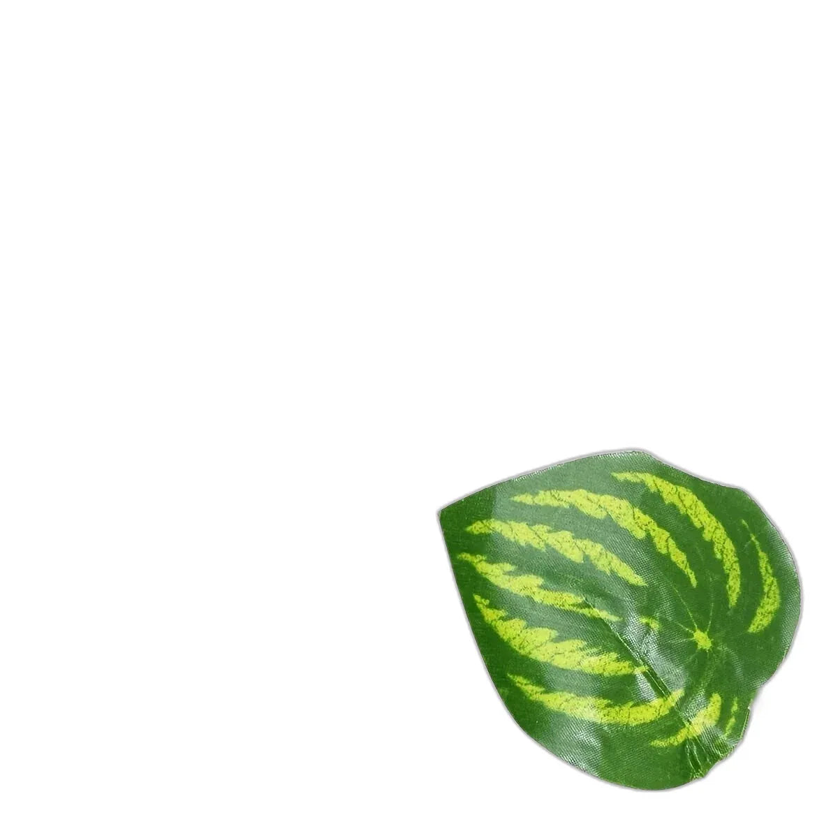 cleaned variant image