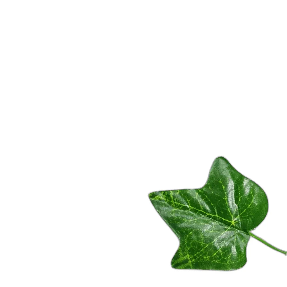 cleaned variant image