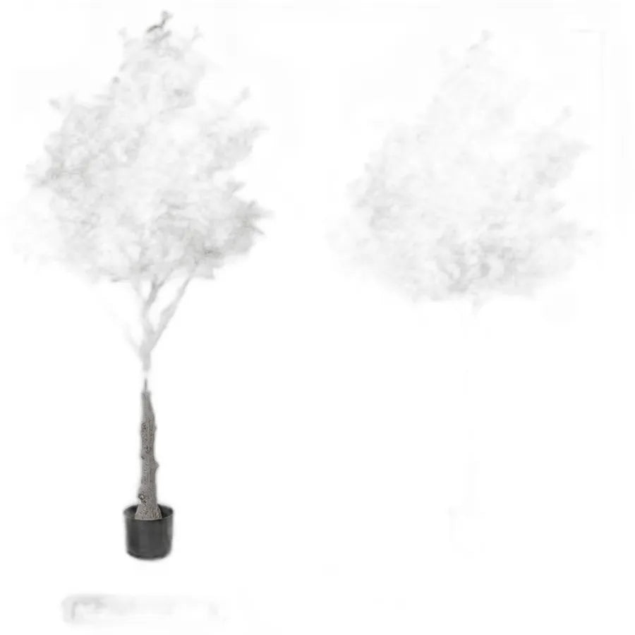 cleaned variant image