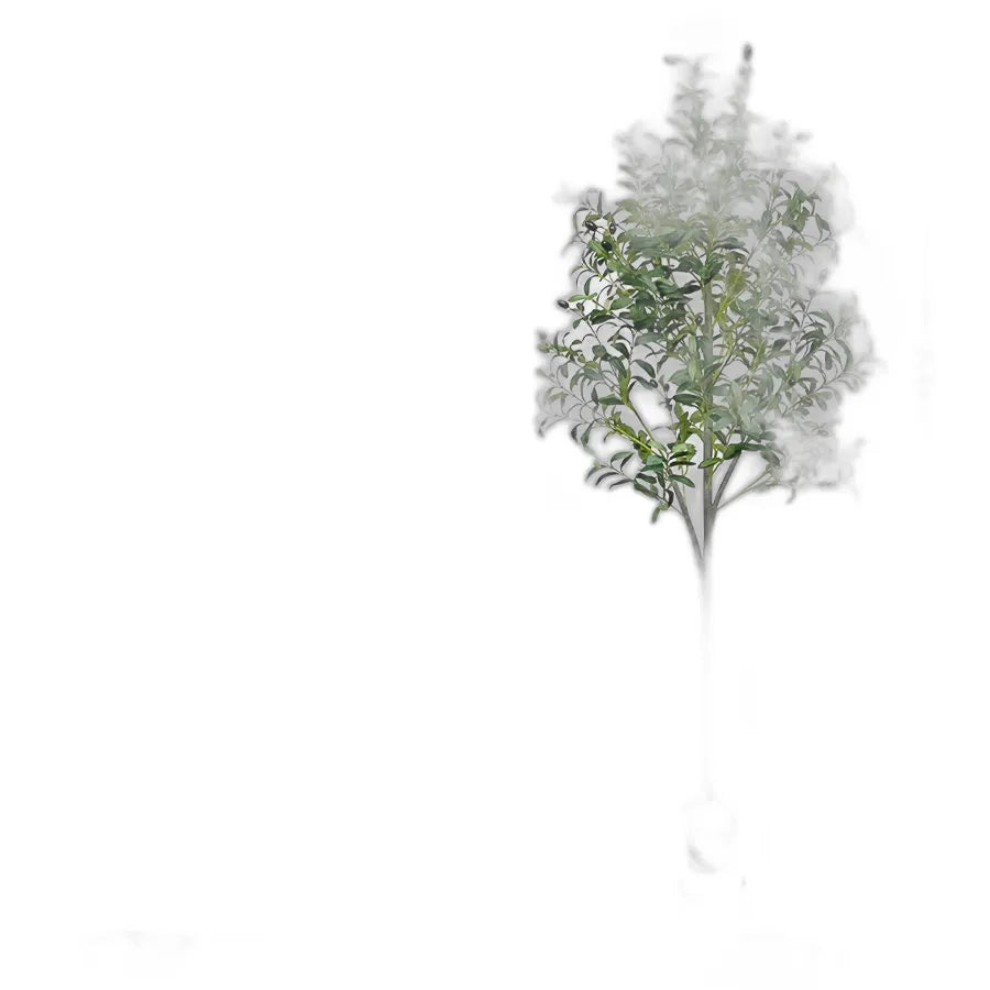 cleaned variant image