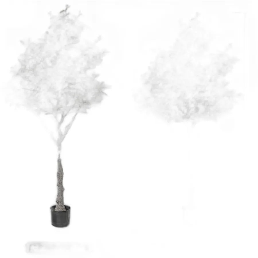 cleaned variant image