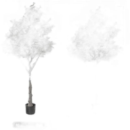 Cleaned variant image