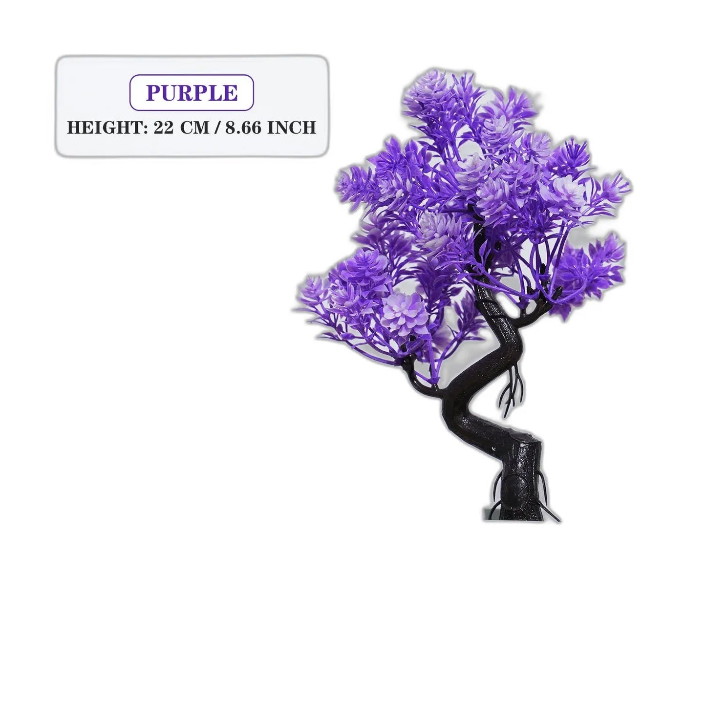 cleaned variant image