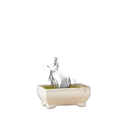 Cleaned variant image