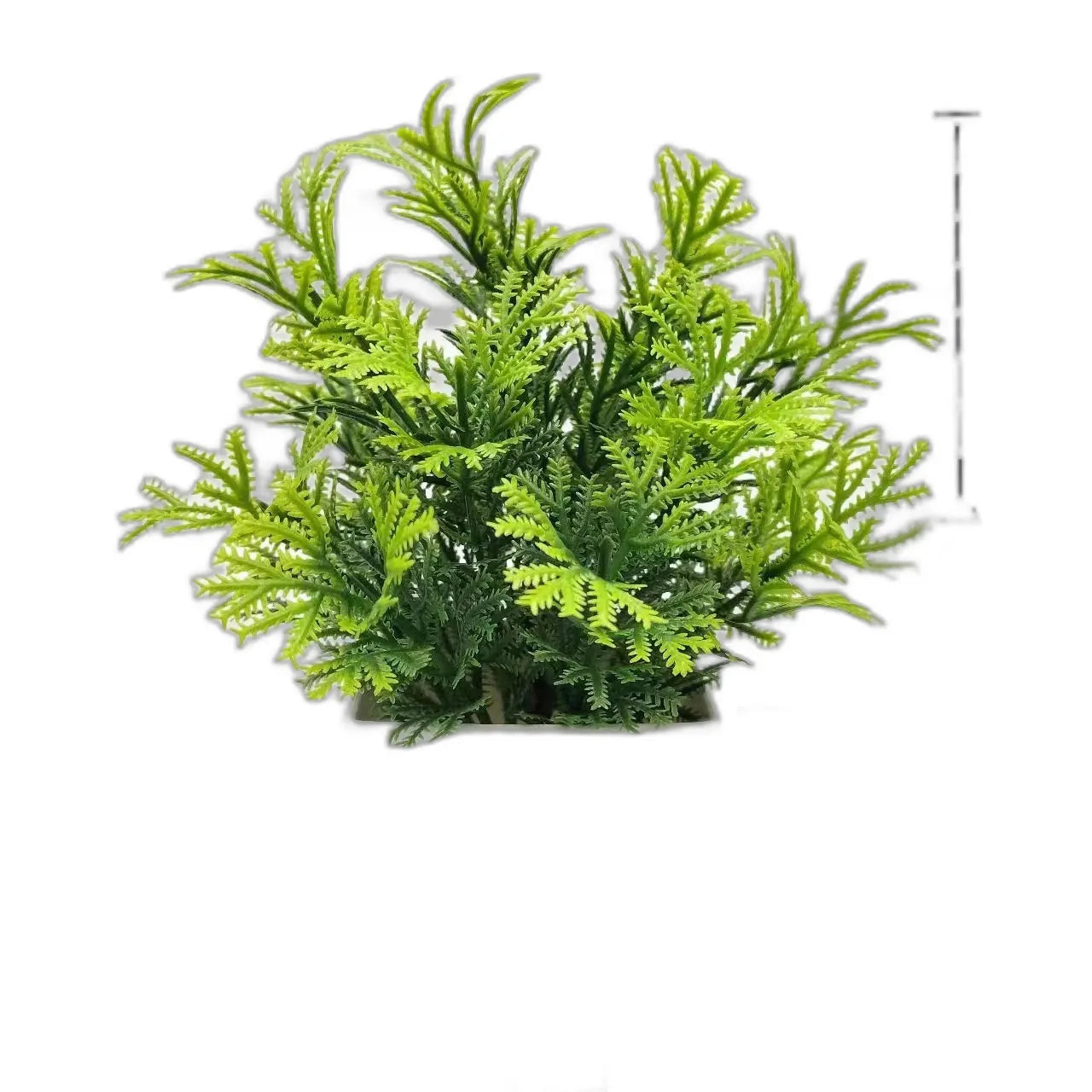 cleaned variant image