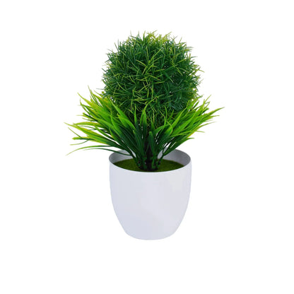 Cleaned variant image