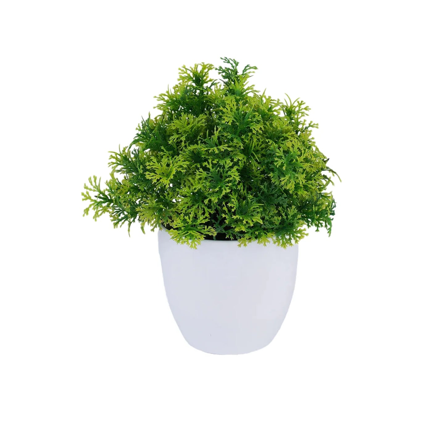 cleaned variant image