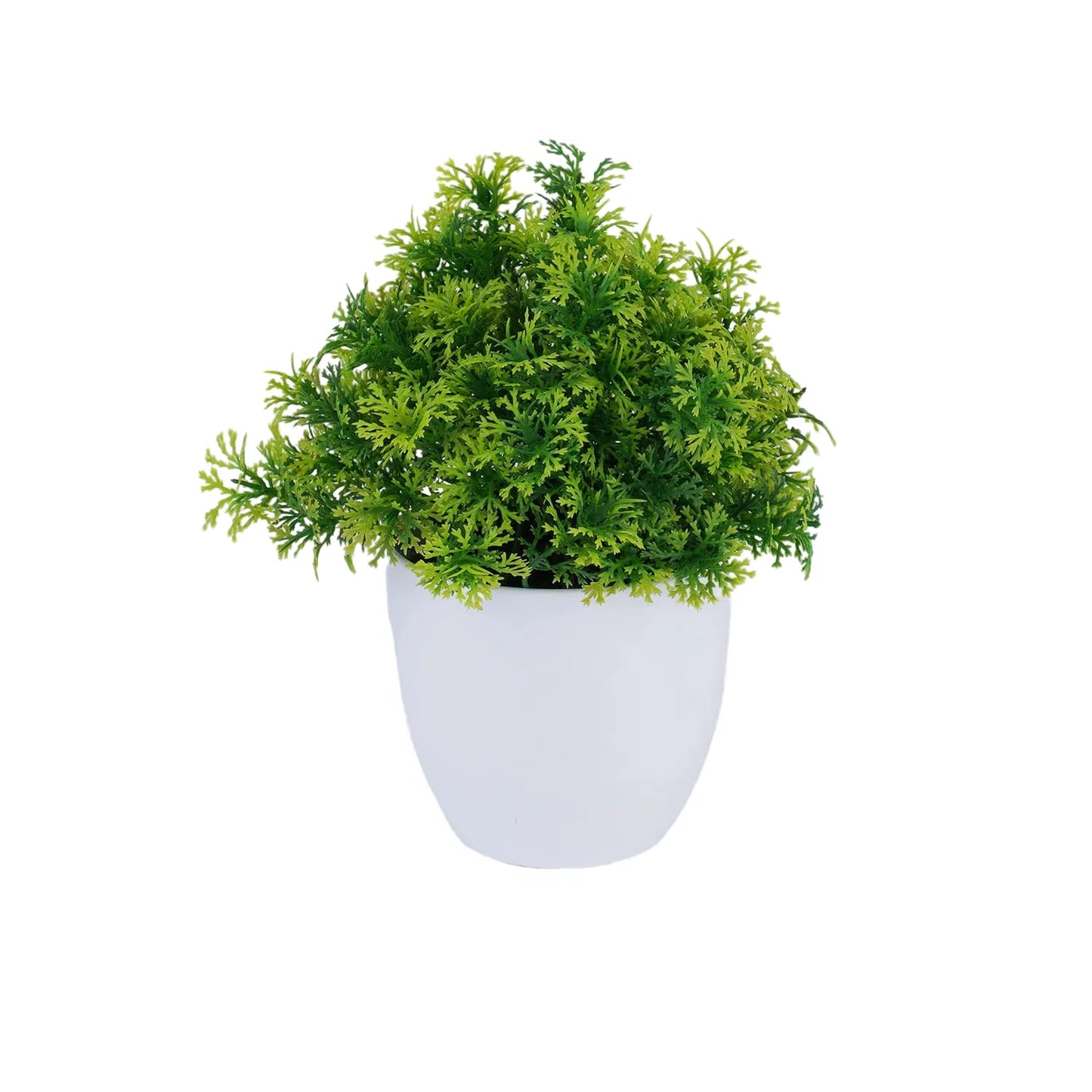 cleaned variant image