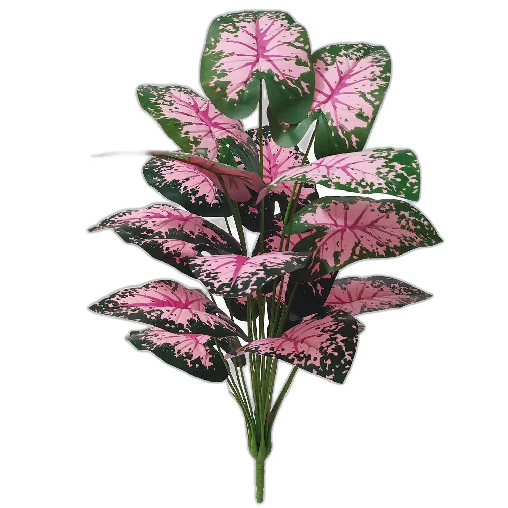 cleaned variant image