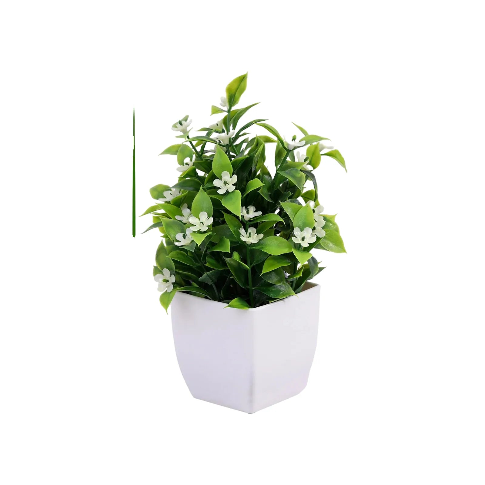 Cleaned variant image