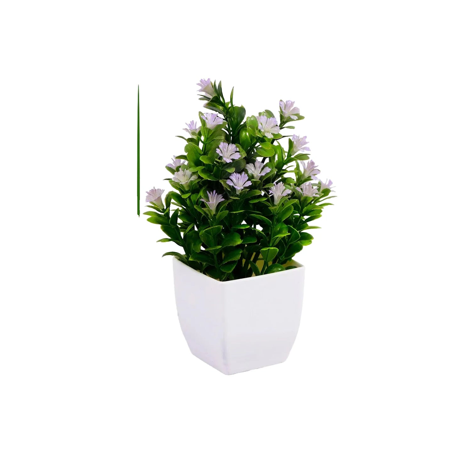 cleaned variant image