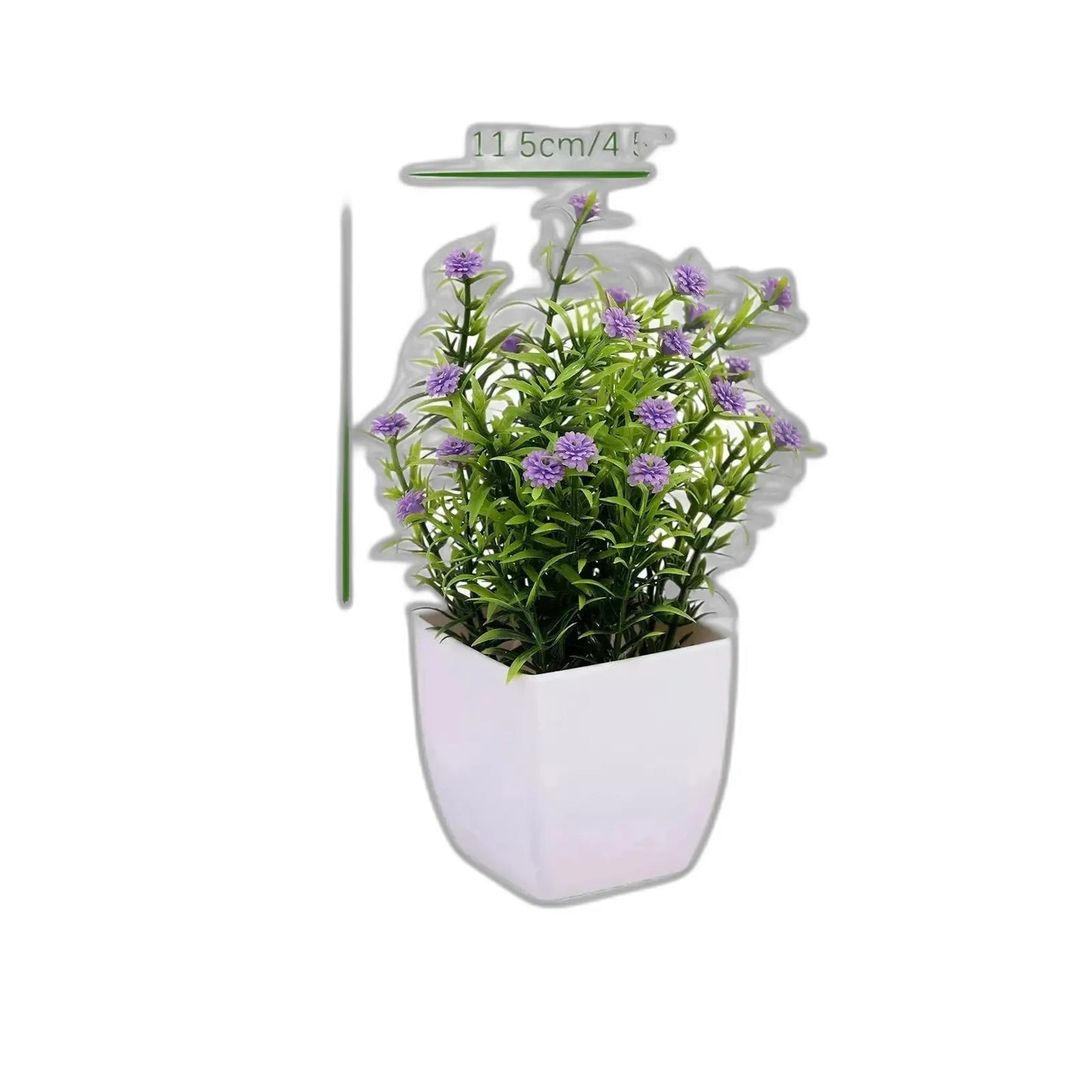 cleaned variant image