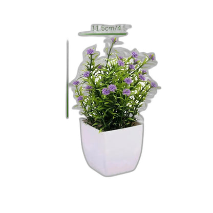 Cleaned variant image