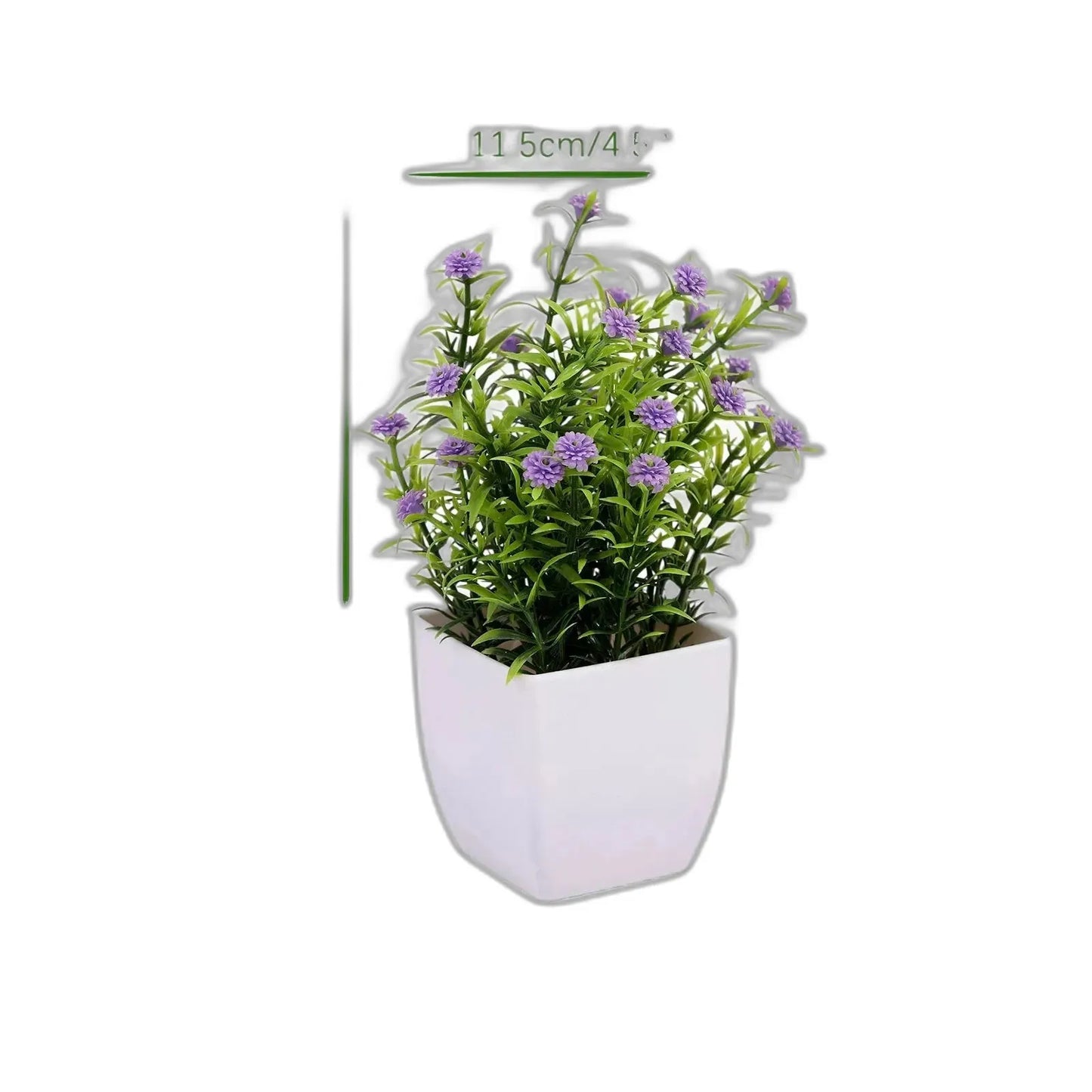 cleaned variant image