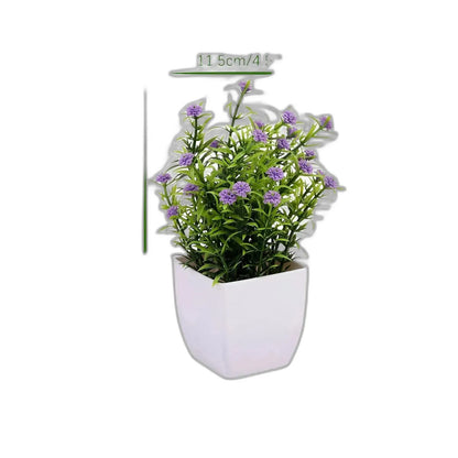 Cleaned variant image