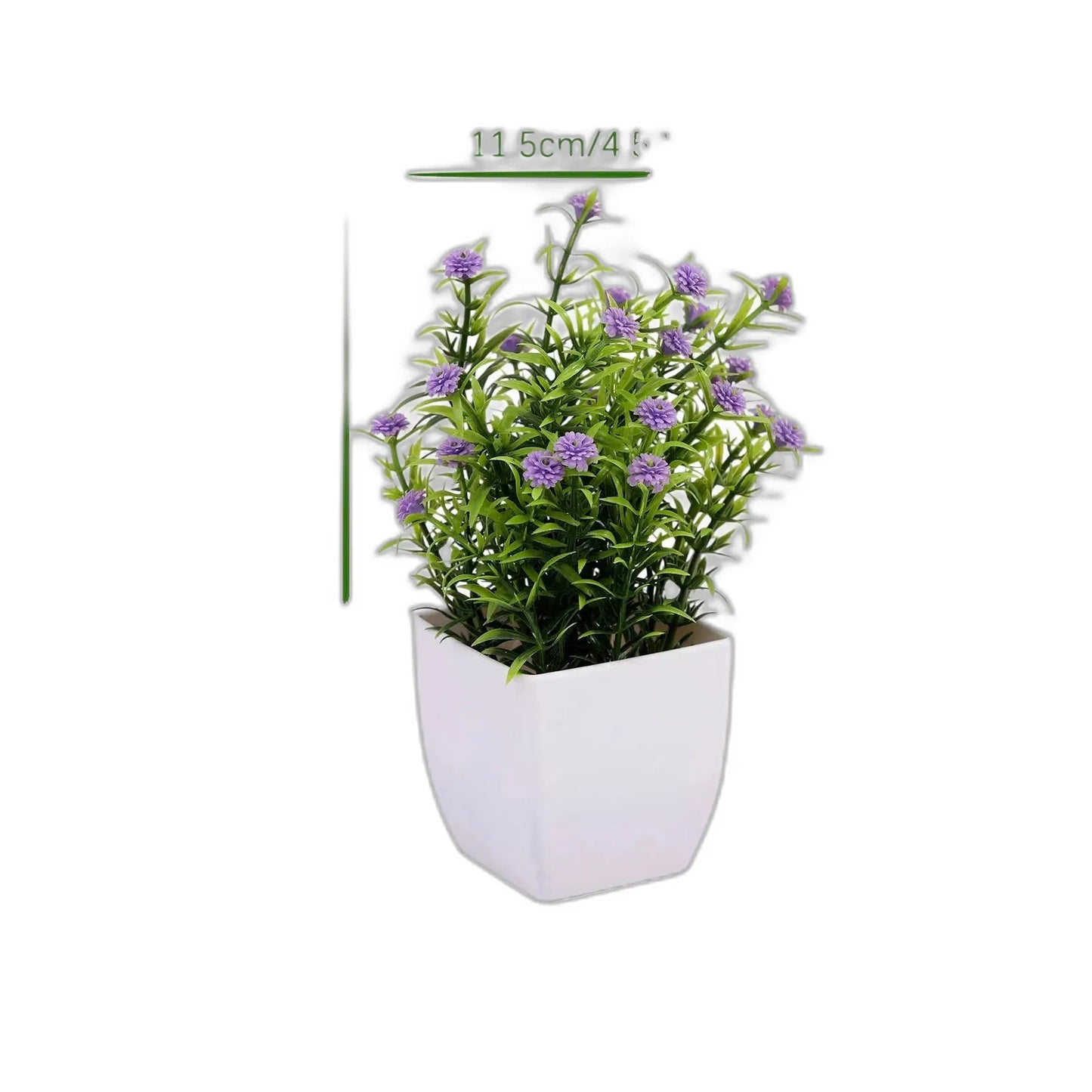 cleaned variant image