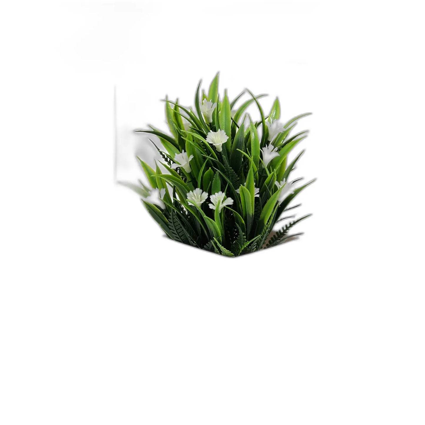 cleaned variant image