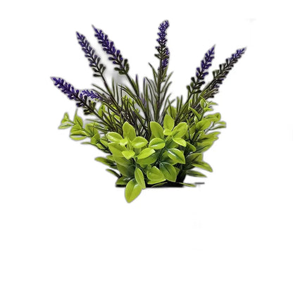 Cleaned variant image