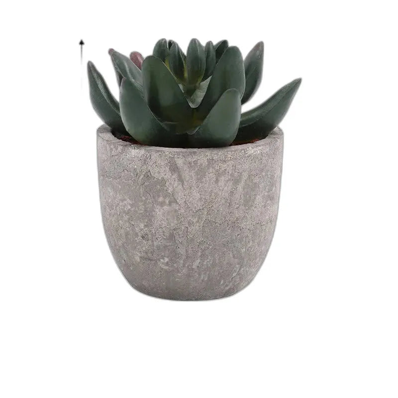 cleaned variant image