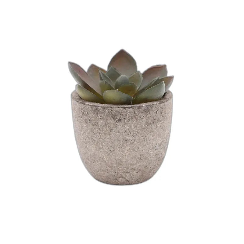 cleaned variant image