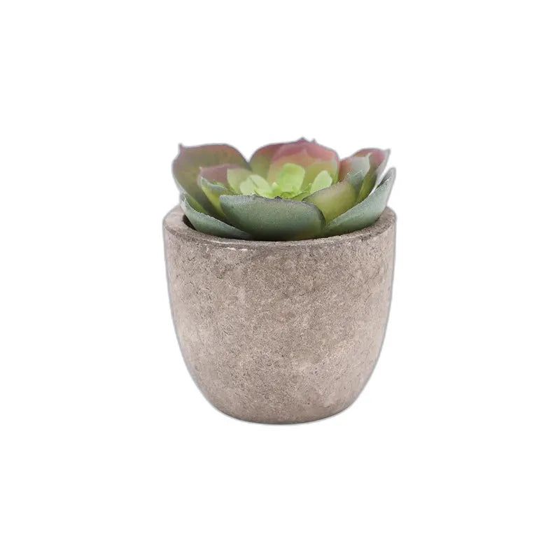 cleaned variant image