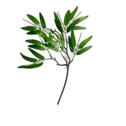 Cleaned variant image