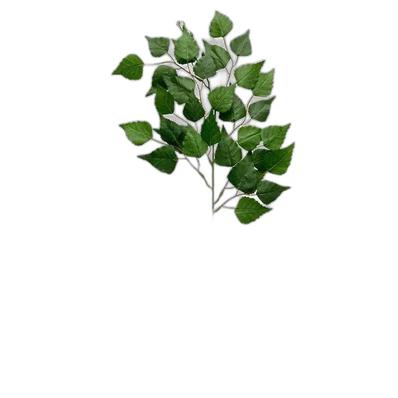 cleaned variant image