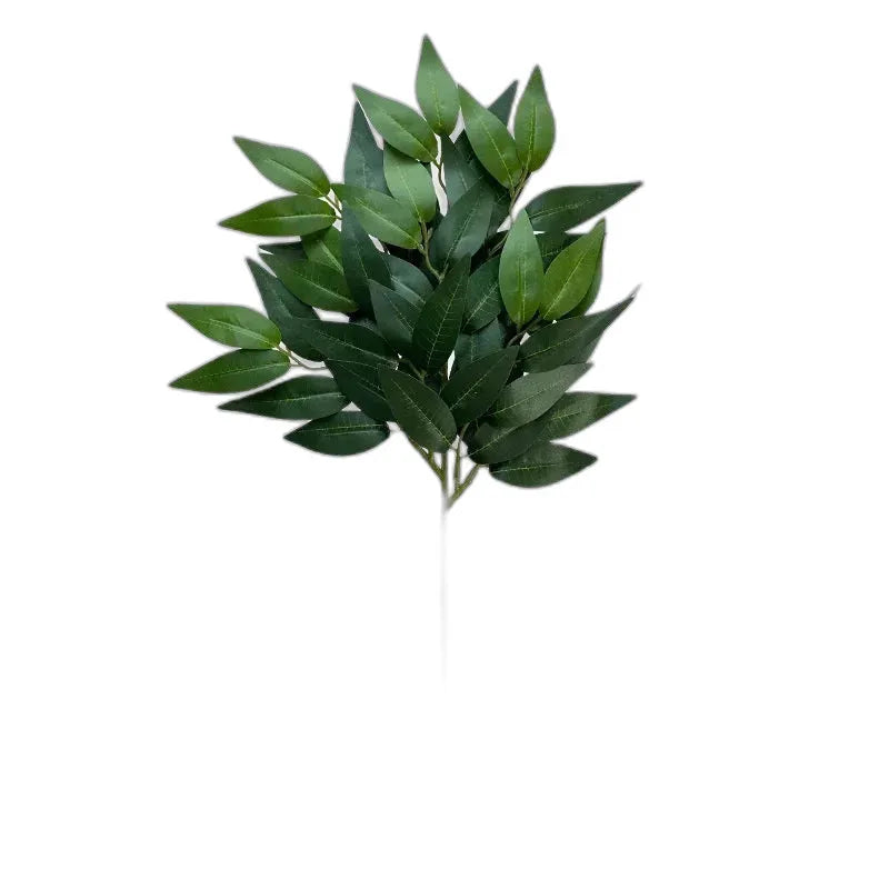 cleaned variant image