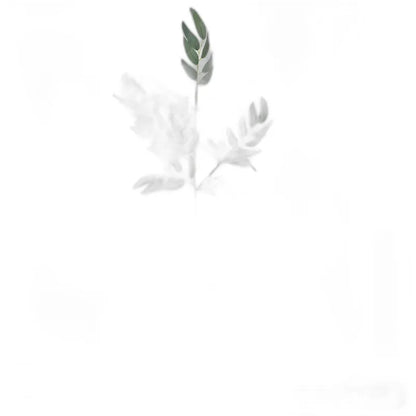 Cleaned variant image