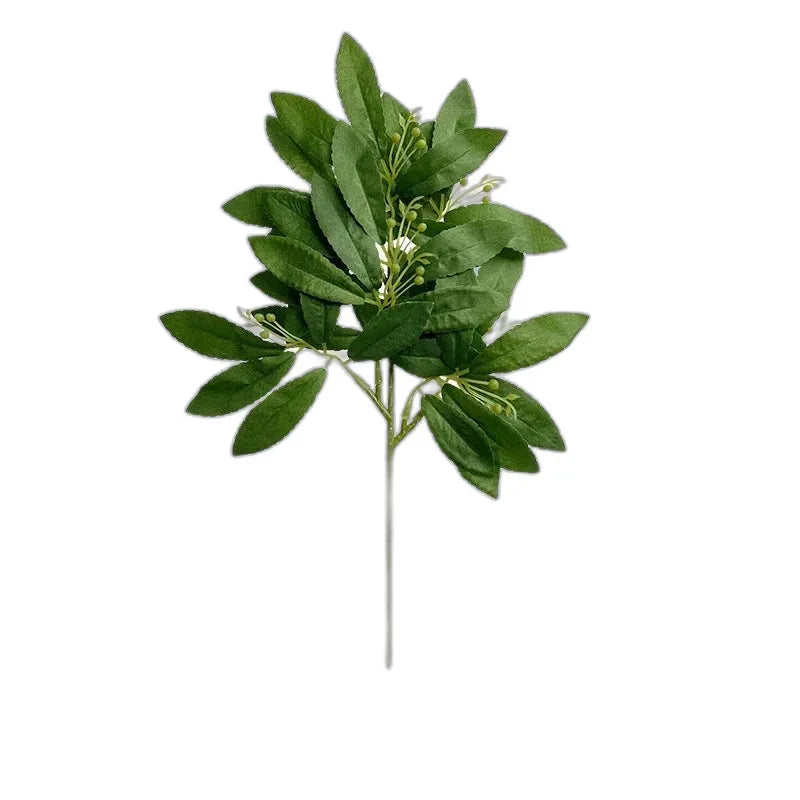 cleaned variant image