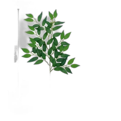 Cleaned variant image