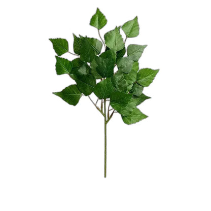 Cleaned variant image