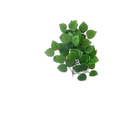 Cleaned variant image