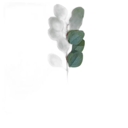 Cleaned variant image